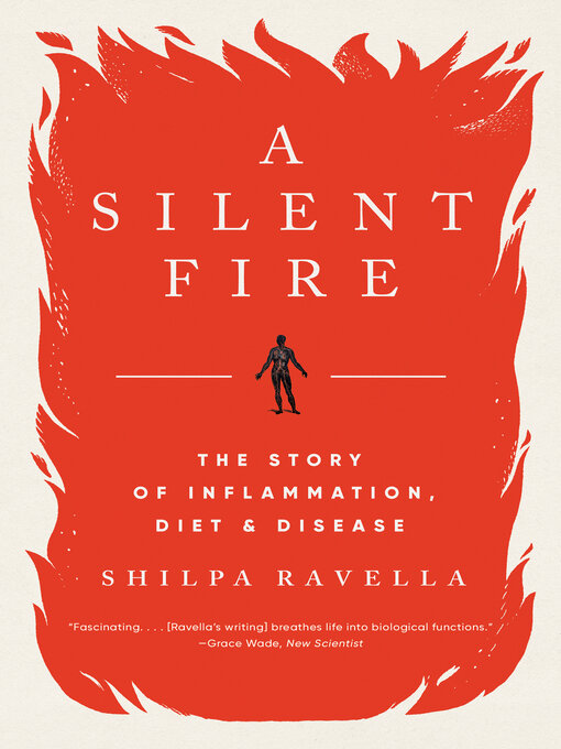 Title details for A Silent Fire by Shilpa Ravella - Wait list